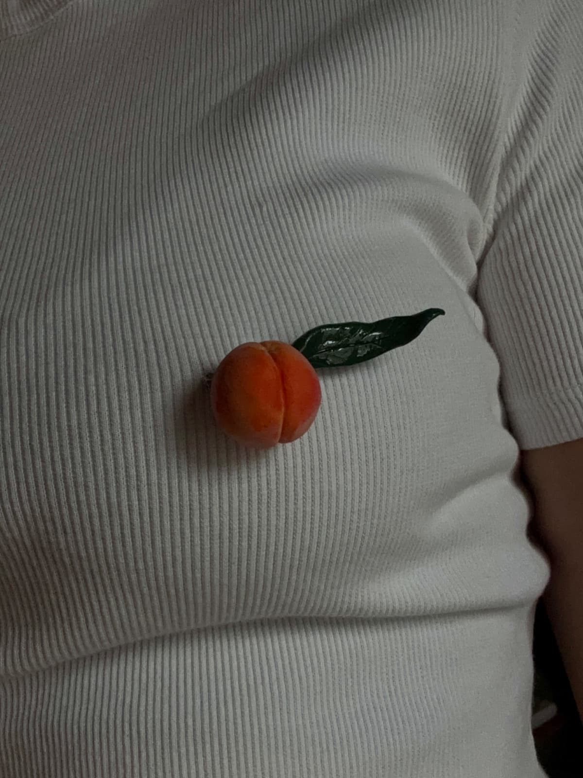 Серьги и броши ягодные 4