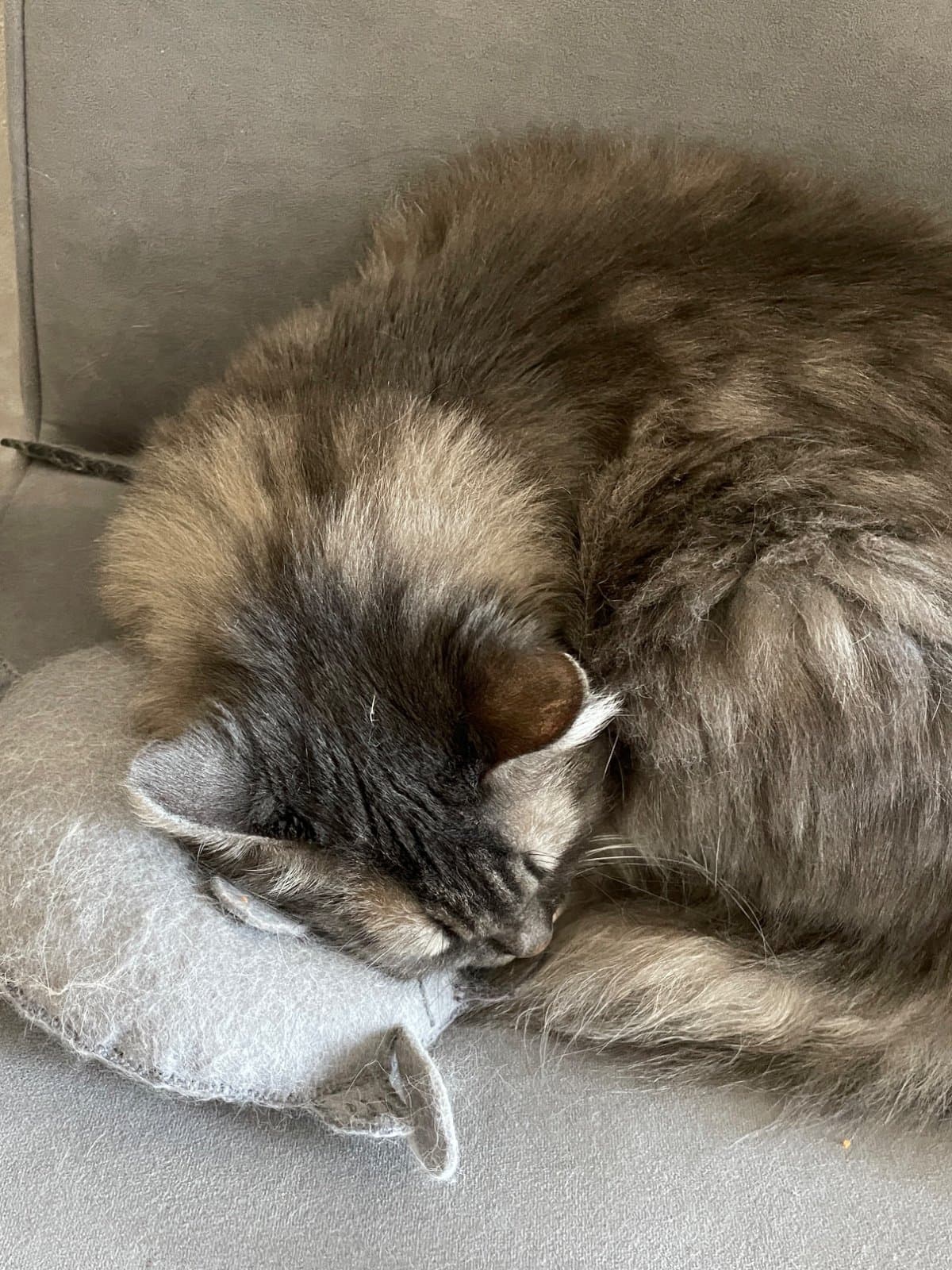 Подушка-сплюшка для кошек 9