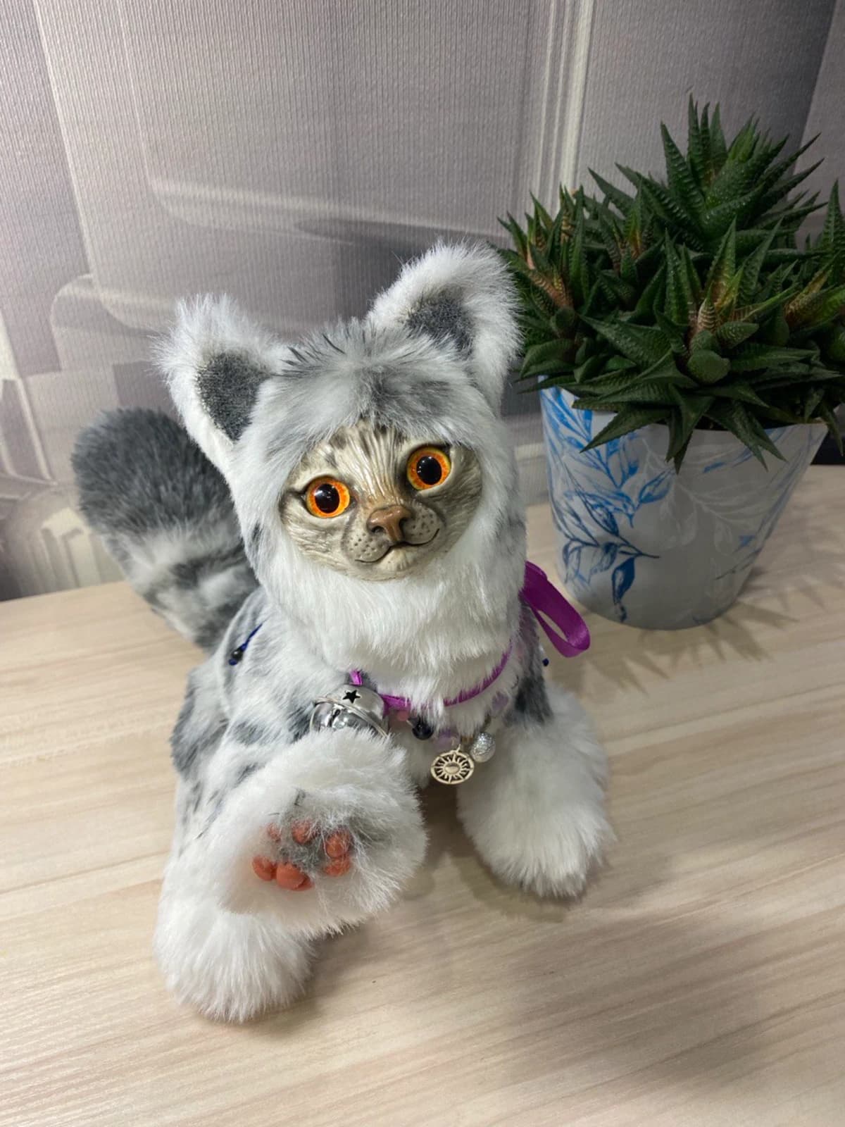 Котик 5