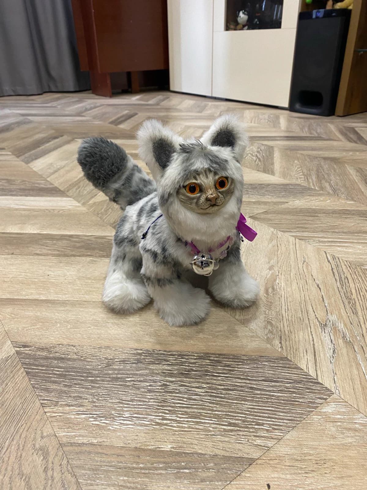 Котик 6