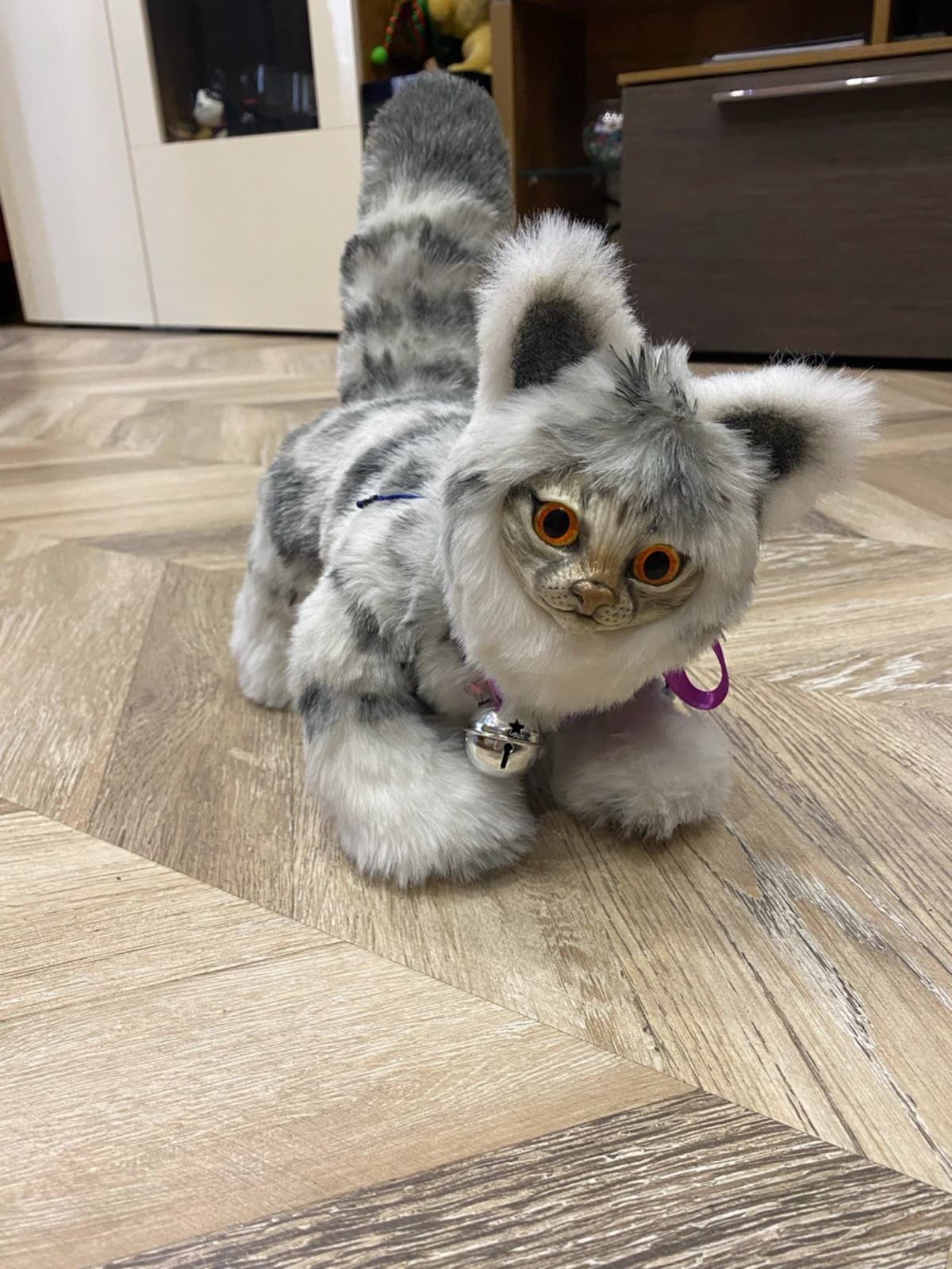 Котик 7
